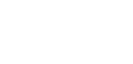 Brave group