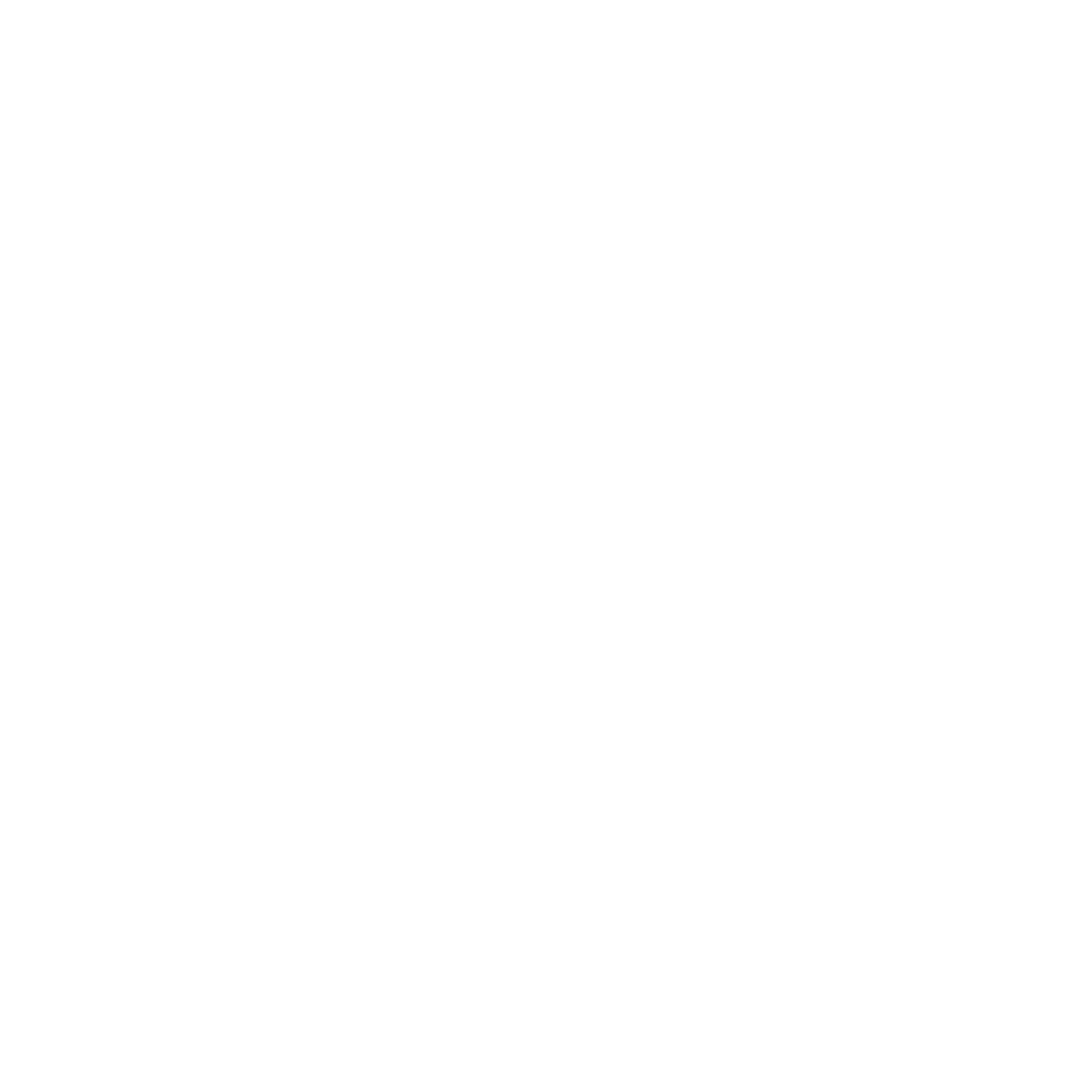 Brave Group Logo
